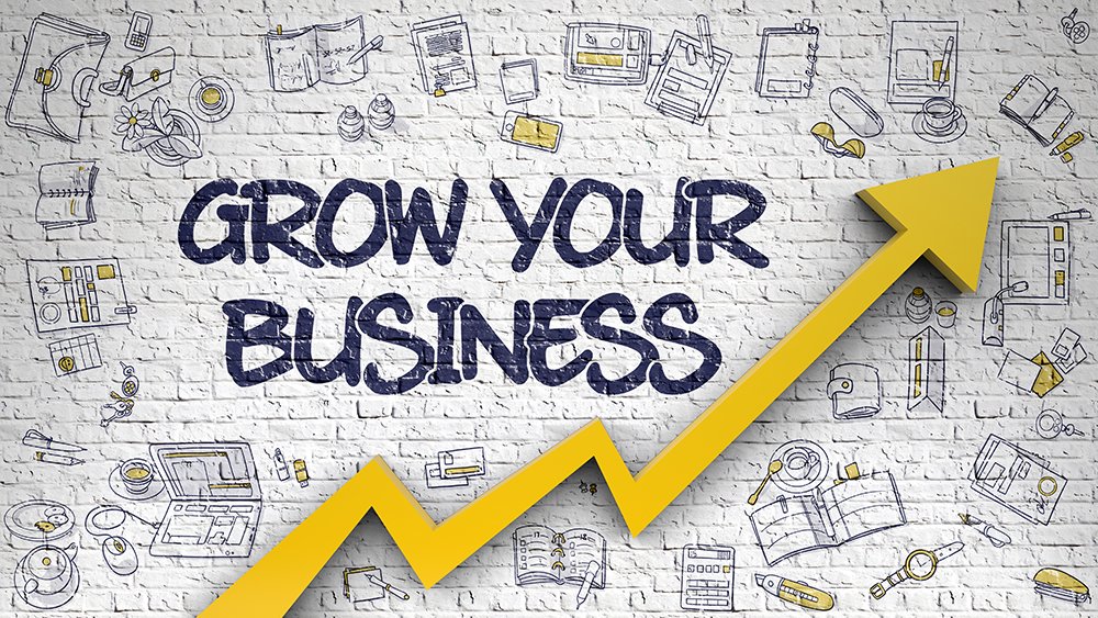 Grow Your Business Drawn on White Wall.